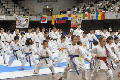 world shotokan karate federation, jindokai, kasuya sensei, wskf, dion risborg