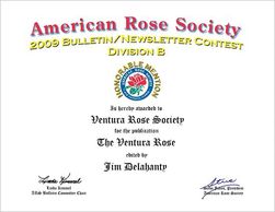 American Rose Society - Honorable Mention.