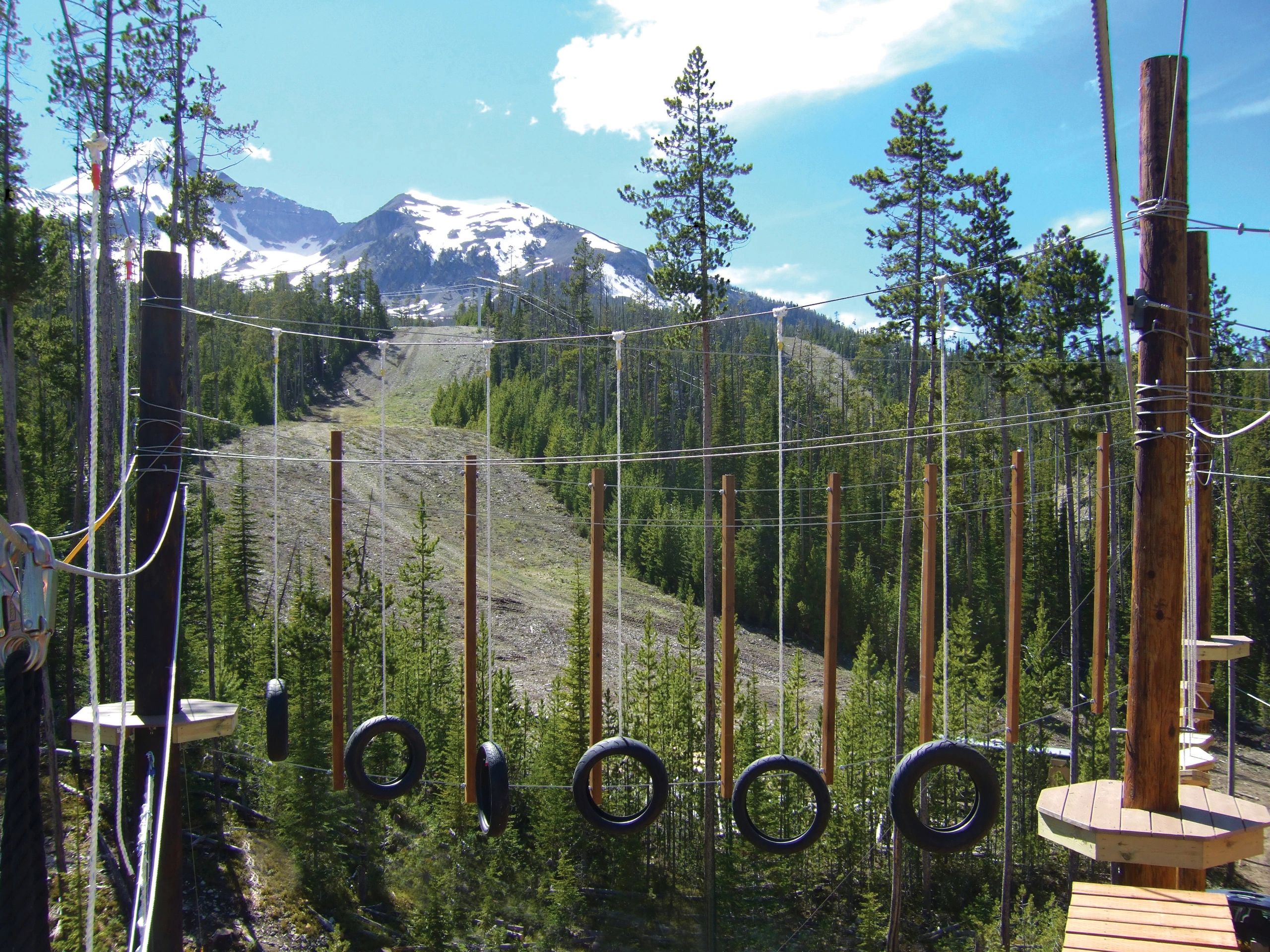 High Ropes Course activity at aerial adventure park in Colorado.