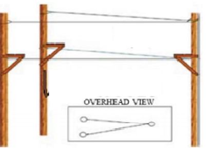 Wild Woozy high ropes course activity.