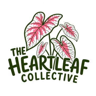 Logo of The Heartleaf Collective featuring heart-shaped leaves.