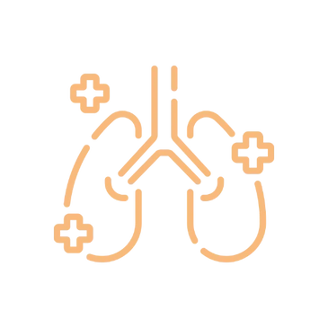 Lungs