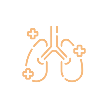 Lungs