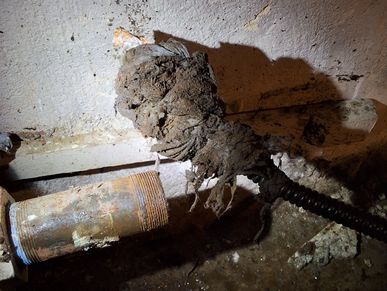 debris on a pipe snake