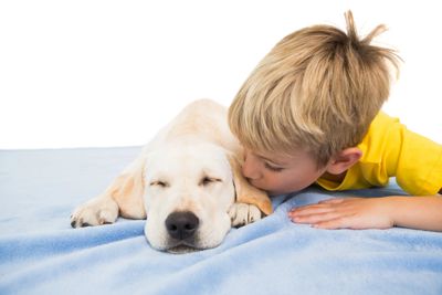 Autistic Child with dog