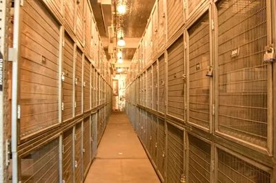 Merlot isle with three (3) levels of lockers