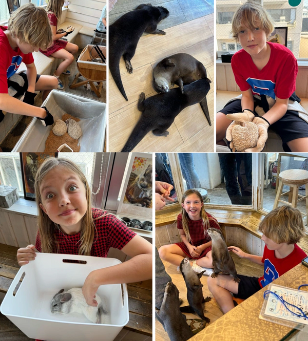 Tokyo Spring Break - Hedgehog cafe