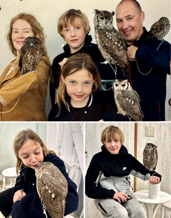 Tokyo Spring Break - Owl Cafe