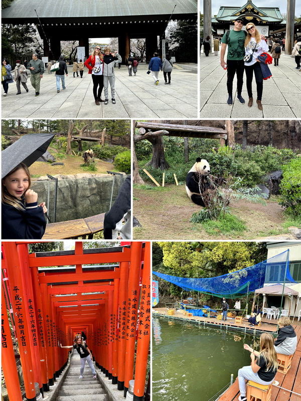 Tokyo Spring Break - Pandas