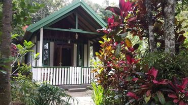 Bungalow with garden view