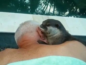 Sweet kisses from otter Lilly during the best massage in Mi Casa ijen guest house