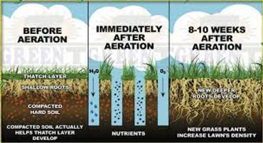 A diagram of how to aerate and water your lawn.