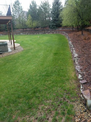 Healthy green lawn maintained by Nature’s Carpet Lawn & Sprinkler in the Denver metro area