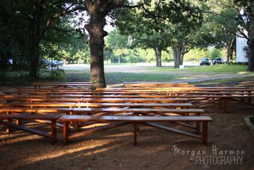 Beautiful wooded outdoor ceremony area with wooden benches. 