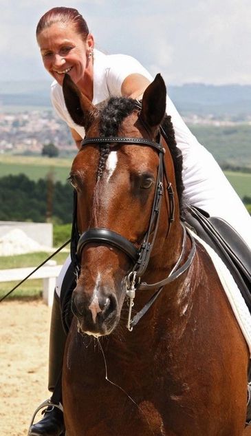 We enjoy each horse in Spain