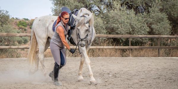 Every horse is different, so it's important to find a way of working with them that suits their indi