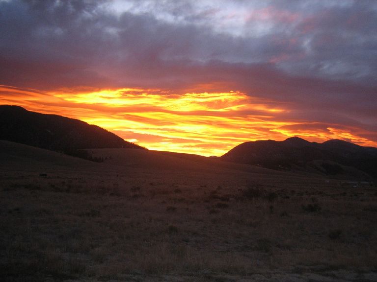 image305