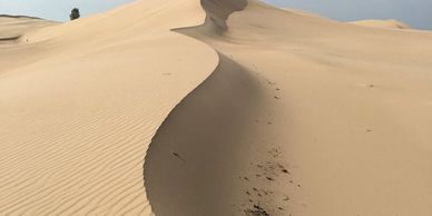 Michigan Sand Dunes