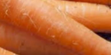 Gingartum carrot root