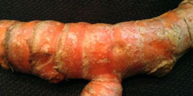 Gingartum's  turmeric root
