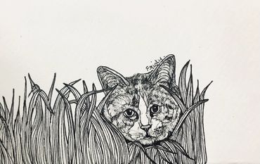 head of a cat peering through tall grass