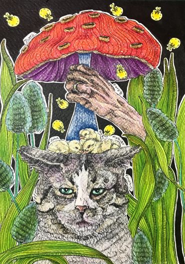 A hand holds a mushroom over a trio of chicks huddled on the head of a cat sitting among weeds.