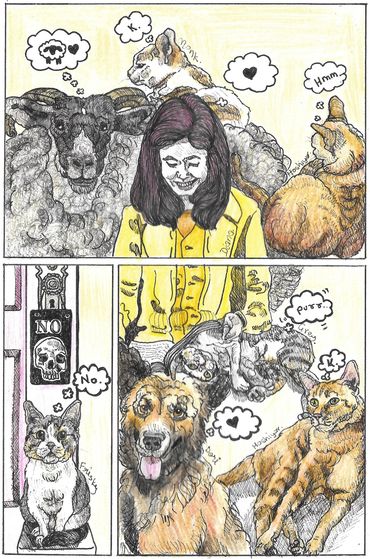 A girl sitting down surrounded by cats and dogs within a locked (from the inside) room