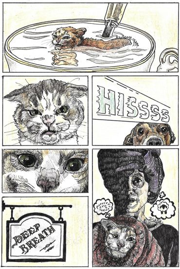 Various angry cats, a timid dog and a woman trying to calm the cat down