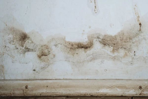 Mold On Wall
