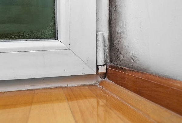 Mold on Baseboard