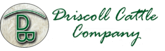 Driscoll Cattle Company