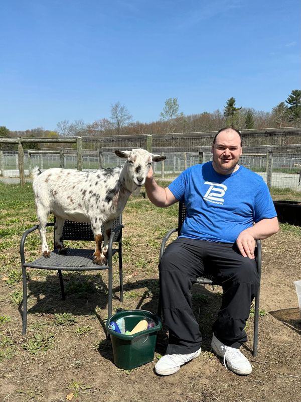 Man petting a goat sitting on a chair outdoors.