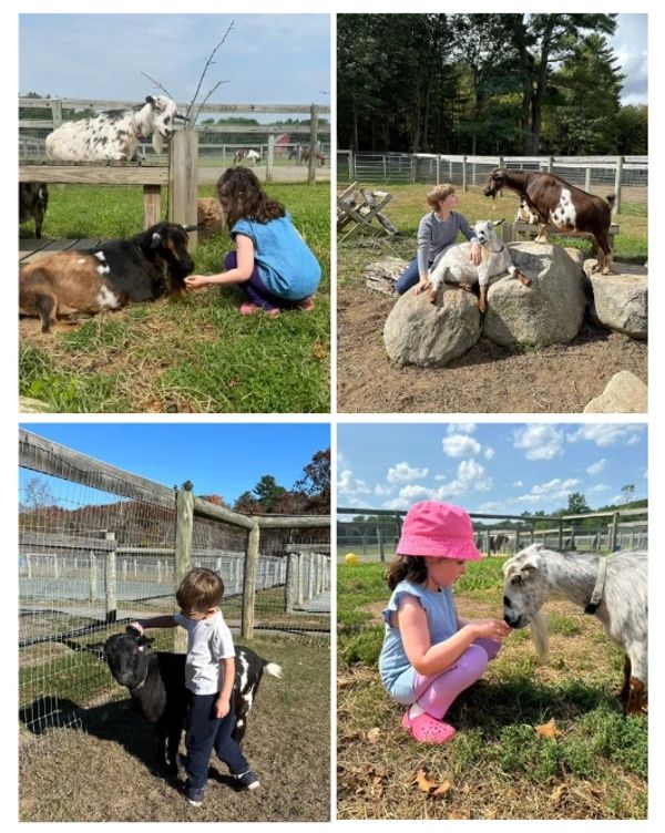 Children interacting gently with goats in a farm setting.