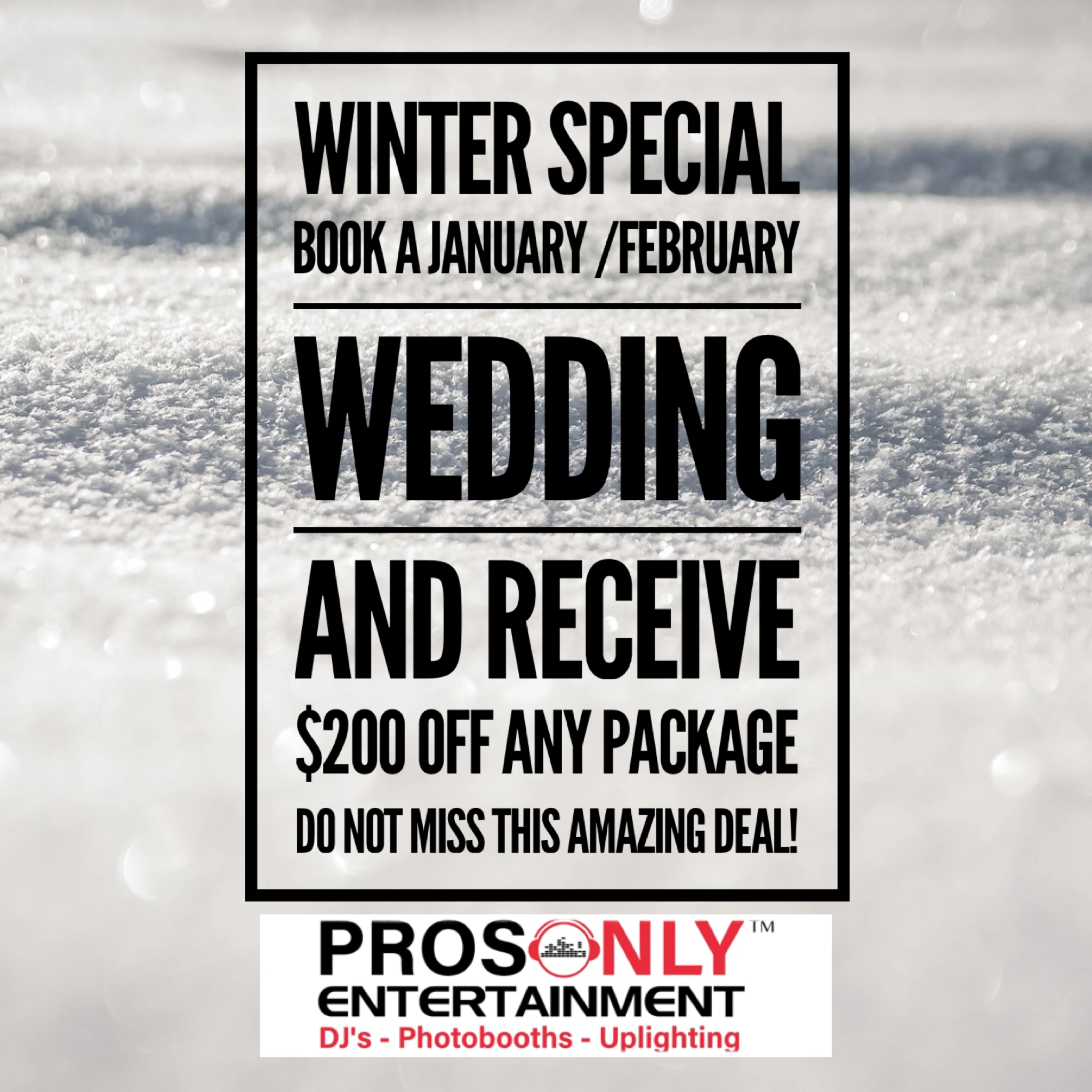 Winter Wedding Special ProsOnly Entertainment 