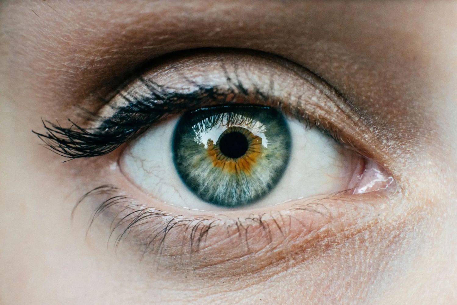 Close-up of a green eye with detailed iris and eyelashes.