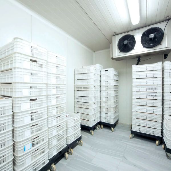 das ist eine kühlraum.