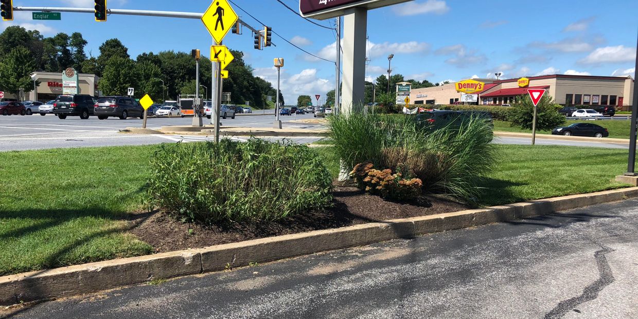 Westminster Md Home lawn and commercial landscape company in 21157 21158. BB&T in Westminster