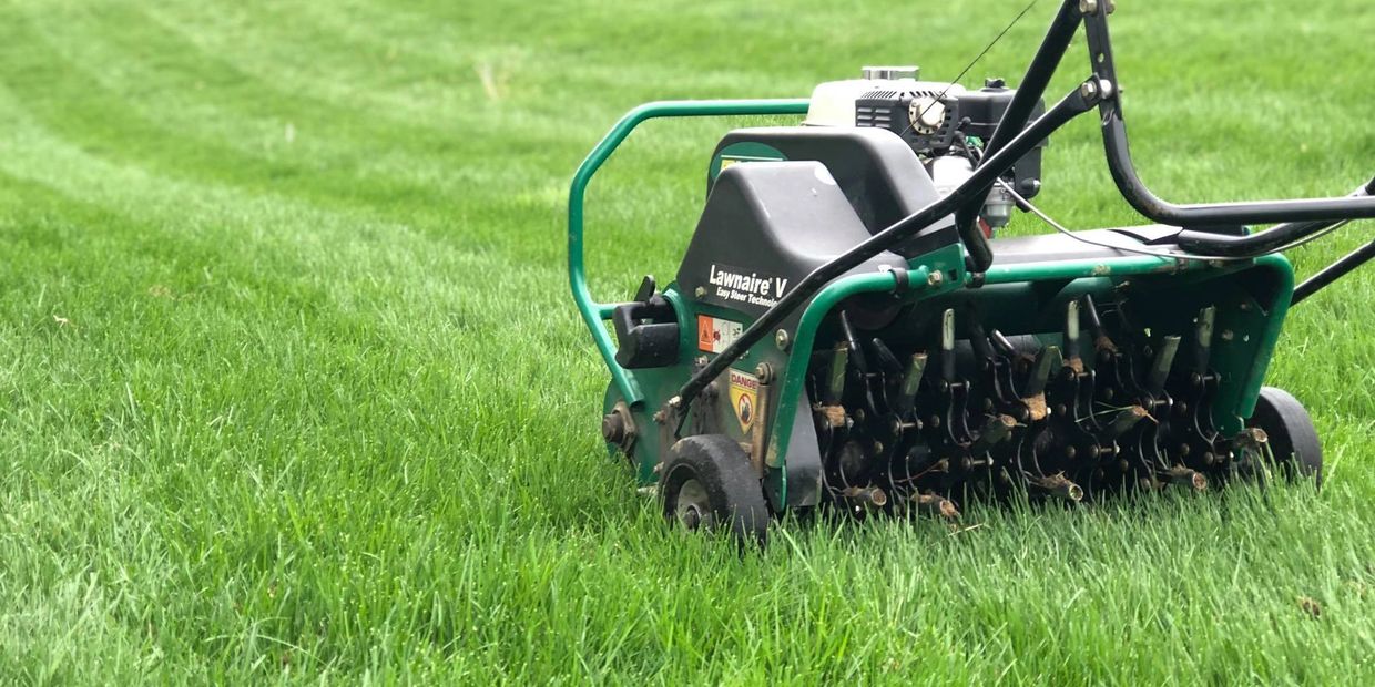 Core aerator in lawn. Lawn Aeration and overseeding company aerating a home lawn in Maryland.