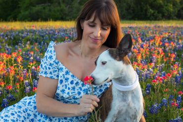 Austin pet portrait of dog in Texas wildflowers during outdoor lifestyle photo session.