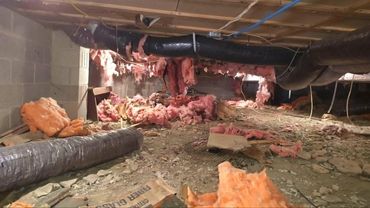 Crawlspace before Encapsulation.