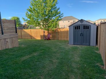 Backyard with a green lawn, tree, red chair, and gray storage shed.