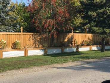 A wooden fence with garden beds and a tree with red berries in a sunny yard.
