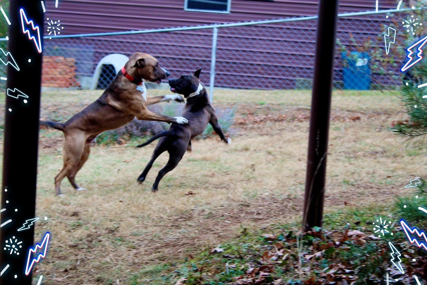 Playtime allows us to stay fit as well as release our built-up energy.