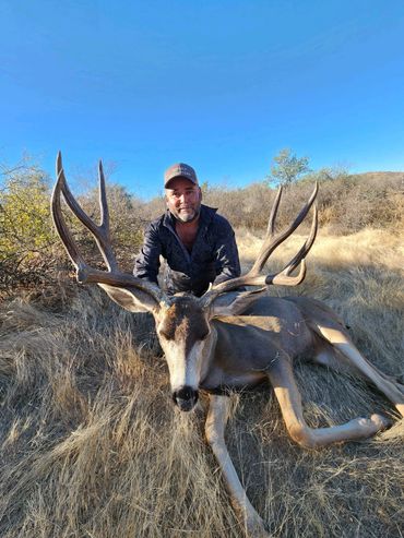 big Mexico mule deer