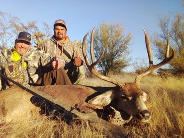 guided Mexico mule deer hunt