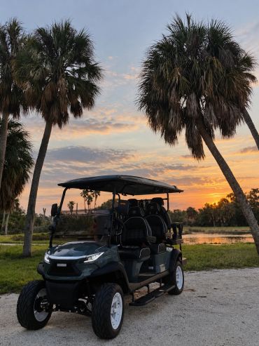 Venom Golf Cart