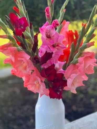 A vibrant bouquet of gladiolus flowers in a white vase outdoors.