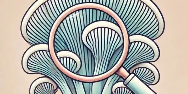 Internal and external testing and quality control of mushroom powder.