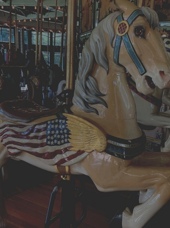 Carousel Horse, Photography by Diana Kwasnicki