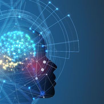 T10 Automotive training